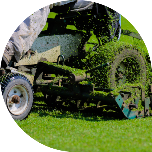 Greens mower on a golf course